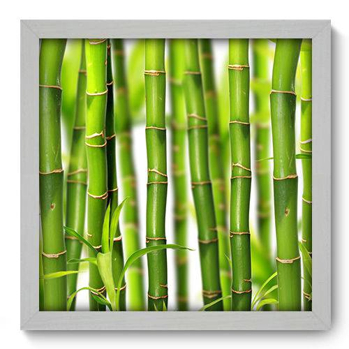 Quadro Decorativo Bambu N2009 33cm X 33cm