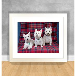 Quadro Decorativo Cachorro - West Highland Terrier Cachorro 30 Branca