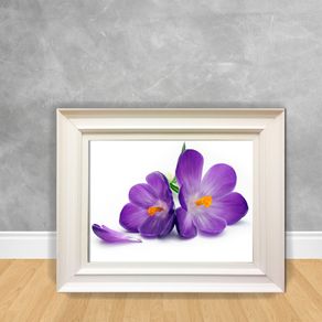 Quadro Decorativo Canvas Purple1 Flor Purple1 30x40