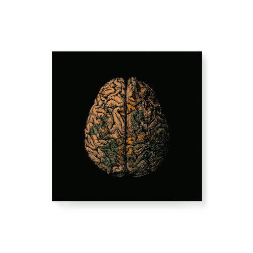 Quadro Decorativo em Tela Canvas Cérebro Mundi - 30x30cm