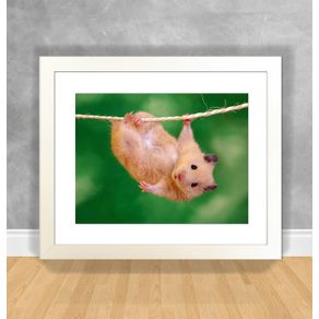 Quadro Decorativo Hamster Hamster 01 Branca