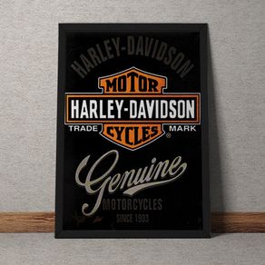 Quadro Decorativo Harleyy Davidson 35x25