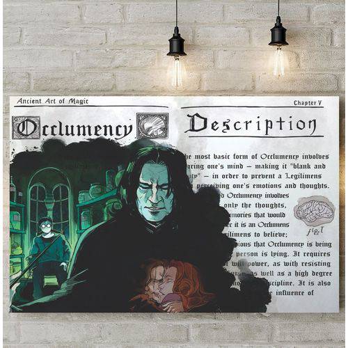Quadro Decorativo Oclumência Harry Potter