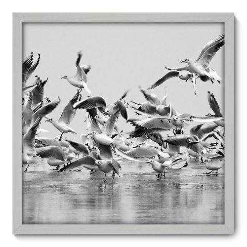 Quadro Decorativo - Pássaros - N3004 - 50cm X 50cm