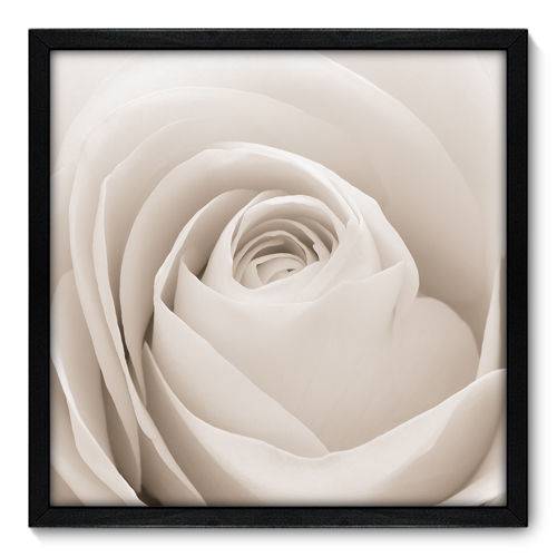 Quadro Decorativo - Rosa - 50cm X 50cm - 003qnfcp