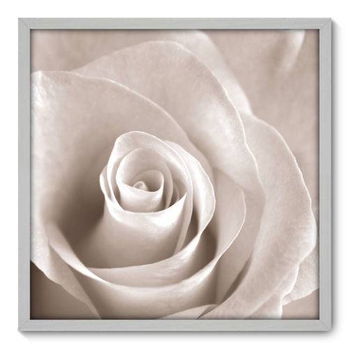 Quadro Decorativo - Rosa - 70cm X 70cm - 001qnfdb