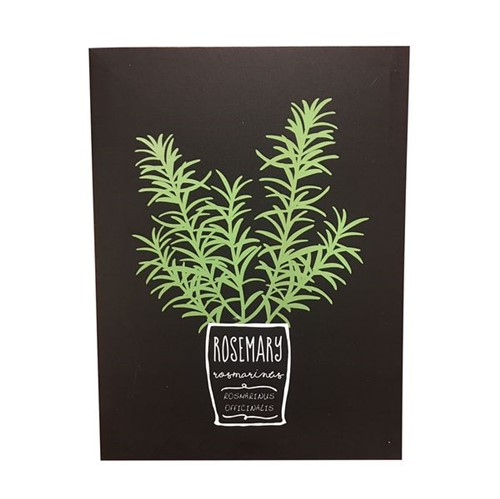 Quadro Decorativo Rosemary Herbs 40X30 - 24745