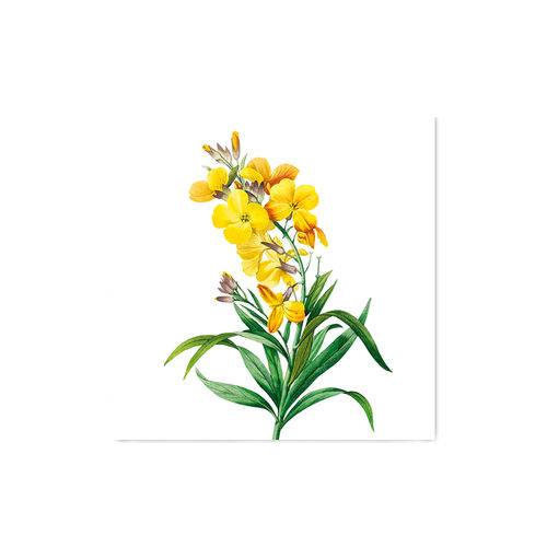 Quadro Decorativo Tipo Placa Flor Amarela - 20x20cm
