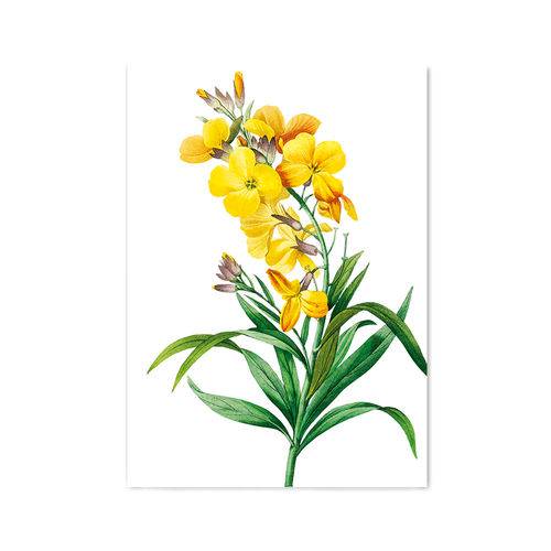 Quadro Decorativo Tipo Placa Flor Amarela - 46x32,5cm