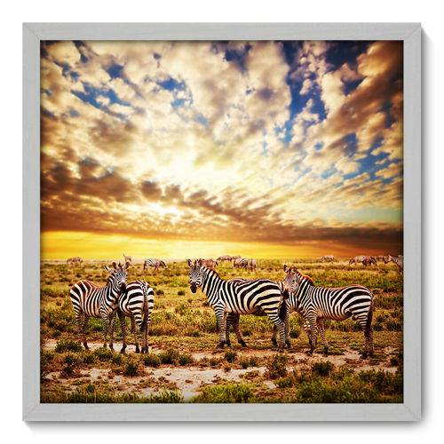 Quadro Decorativo - Zebras - 50cm X 50cm - 008qnscb