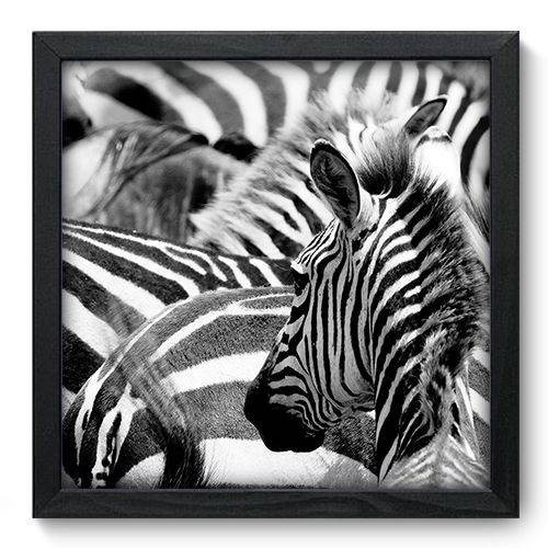 Quadro Decorativo - Zebras - N6001 - 33cm X 33cm