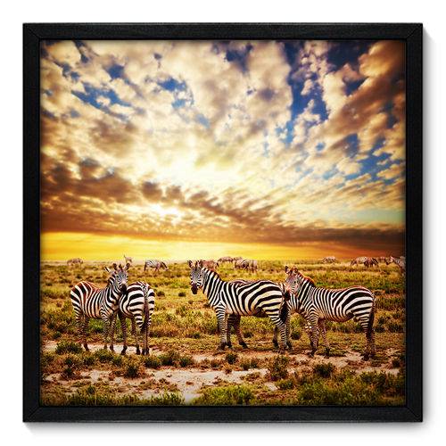 Quadro Decorativo - Zebras - N7008 - 50cm X 50cm