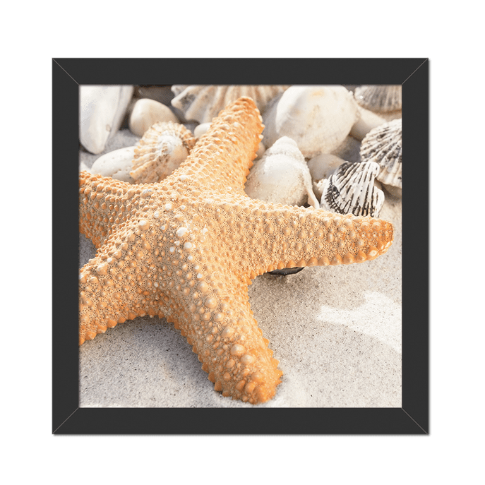 Quadro Estrela do Mar Moldura Preta Lisa - 20X20cm-sv