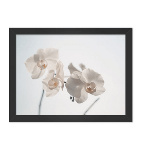 Quadro Orquídea Moldura Preta Lisa 30x20cm-sv
