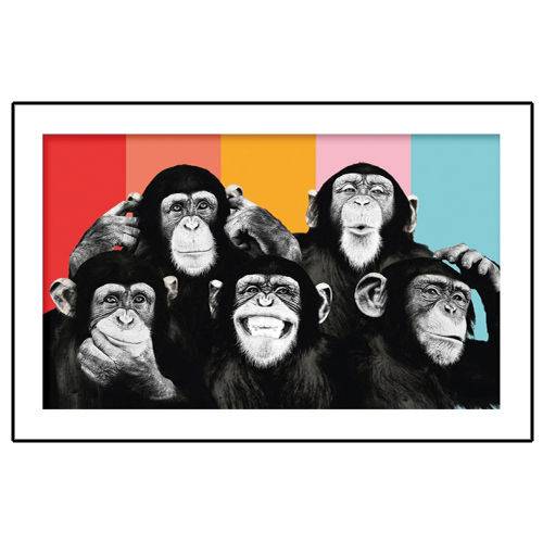 Quadro Placa Decorativa - Expressoes Macacos