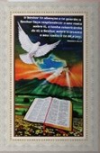 Quadro Religioso Texto Bíblico - Mod. 2 | SJO Artigos Religiosos