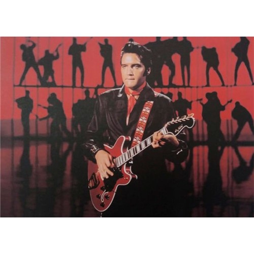 Quadro Tela Elvis Presley In Memphis