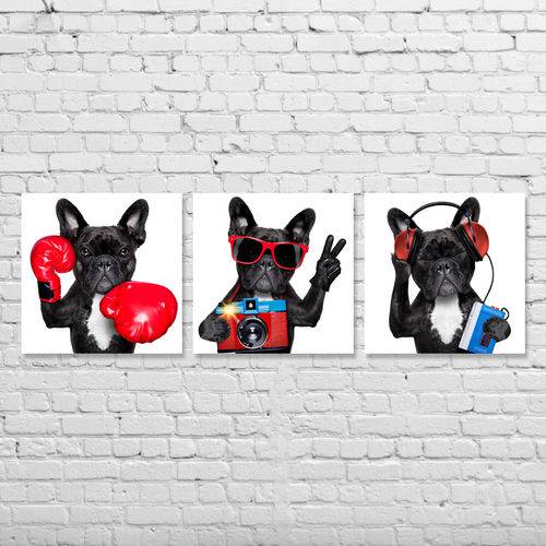3 Quadros Cachorro Bulldog Francês Kit Tela Canvas para Sala Quarto Escritório