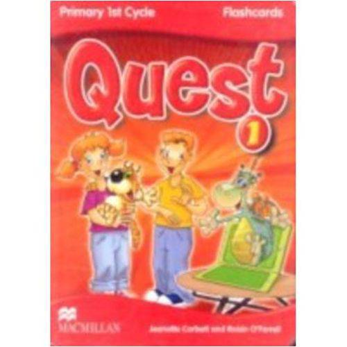 Quest 1 - Flashcards