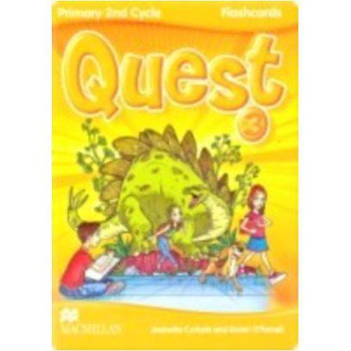 Quest 3 - Flashcards