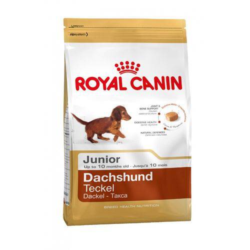 Ração Royal Canin Dachshund Junior para Cães Filhotes - 2,5 Kg