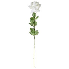Rainha Flor Rosa Branco/verde