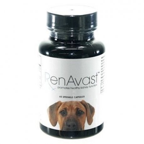 RenAvast Dog Suplemento Vitamínico 1000mg - 60 Cápsulas