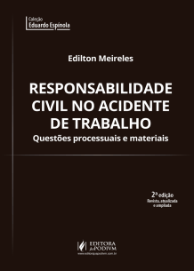 Responsabilidade Civil no Acidente de Trabalho - Questões Processuais e Materiais (2019)