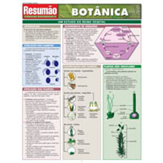 Resumao Botanica - Bafisa