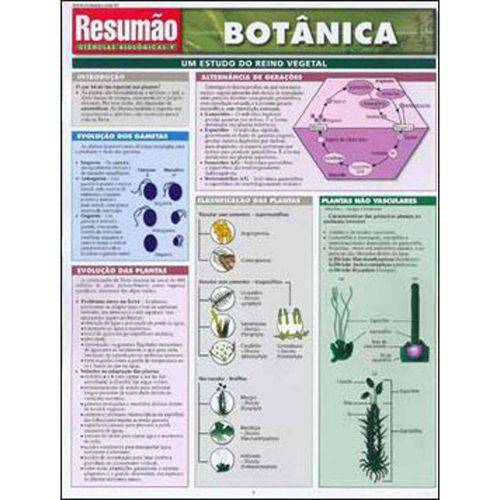 Resumao Ciencias Biologicas - Botanica