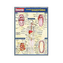 Resumão - Sistema Digestório