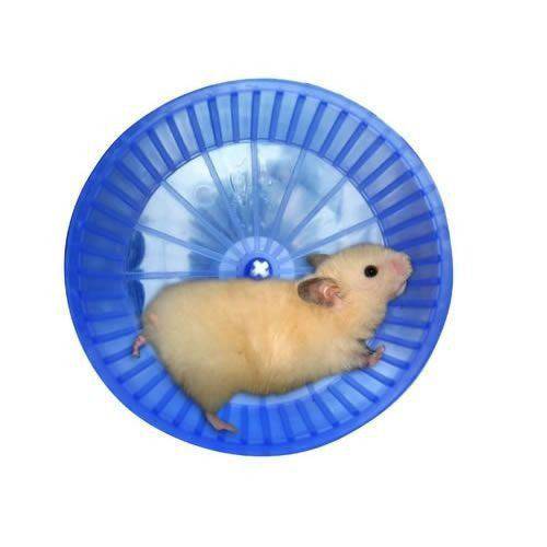 Rodinha de Exercícios Plastico para Hamster Roedores