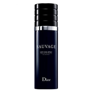Sauvage Cool Spray Dior Perfume Masculino - Eau de Toilette 100ml