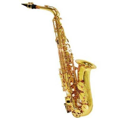 Saxofone Alto Shelter Sft6430l em Mib (Eb) com Case