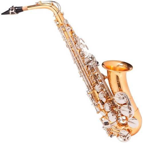 Saxofone Sax Alto Michael Dourado Wasm49 em Eb com Case