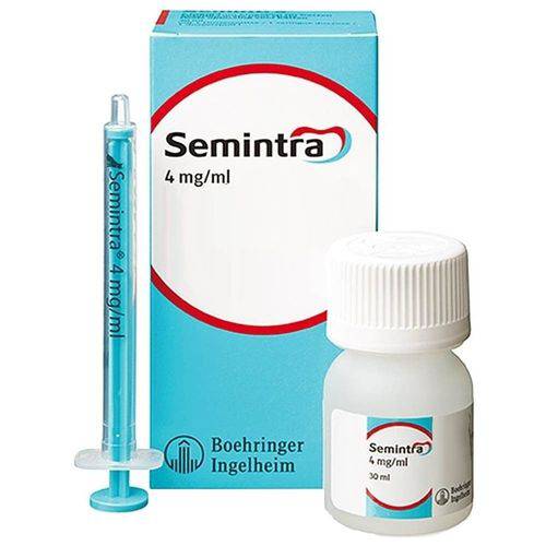 Semintra Solução Oral para Gato Renal 30ml