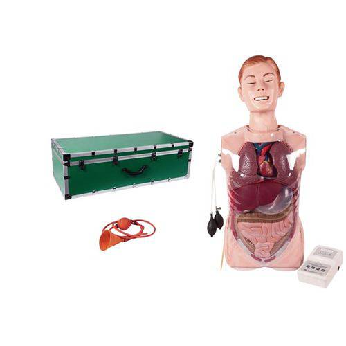 Simulador Transparente para Treinamento de Lavagem Gástrica Anatomic - Código: Tgd-4080