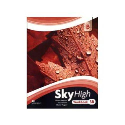 Sky High 3b - Workbook