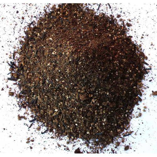 Substrato Carolina Soil 1kg Ideal para Vaso Auto Irrigável