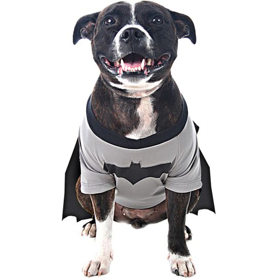 Super Pet - Batdog M