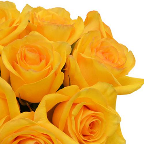 Surpresa de Rosas Amarelas