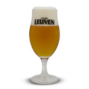 Taça Oficial Cerveja Leuven