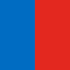Tatame 2m X 1m X 20mm - Sem Encaixe - Azul e Vermelho Azul e Vermelho
