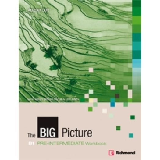 The Big Picture Pre Intermediate B1 Workbook - Richmond