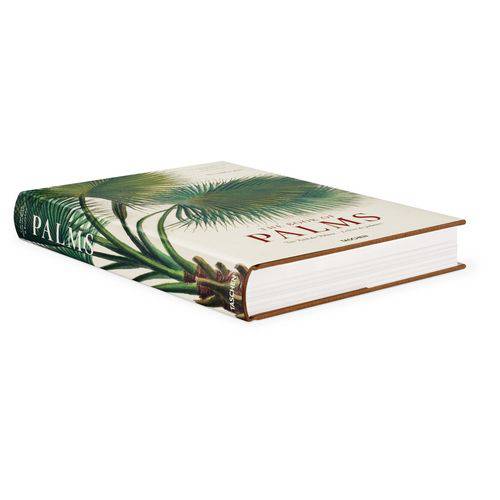 The Book Of Palms. Von Martius Xl