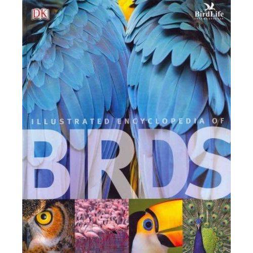 The Illustrated Encyclopedia Of Birds