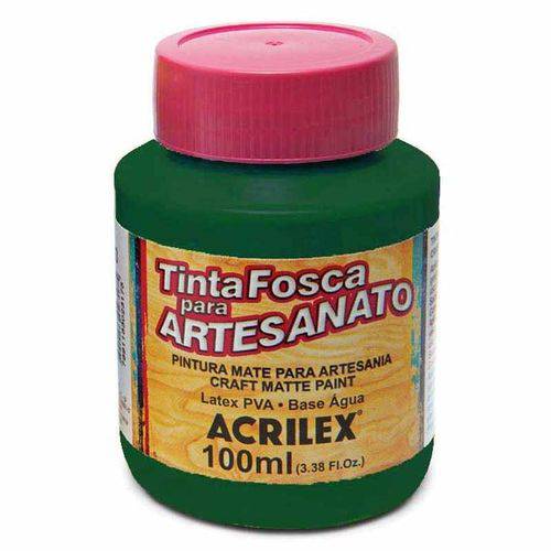 Tinta Fosca para Artesanato Acrilex 100 Ml Verde Musgo 513