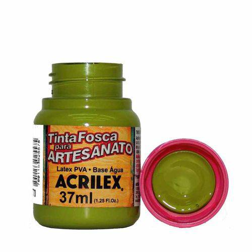 Tinta Fosca para Artesanato Acrilex 37 Ml Verde Pistache 570