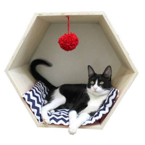 Toca Hello Pet Hexagonal Azul com Vermelho para Gatos - Tam. Único