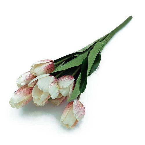 Tulipa X9 - Rosa Marfim Mesclado - JT360